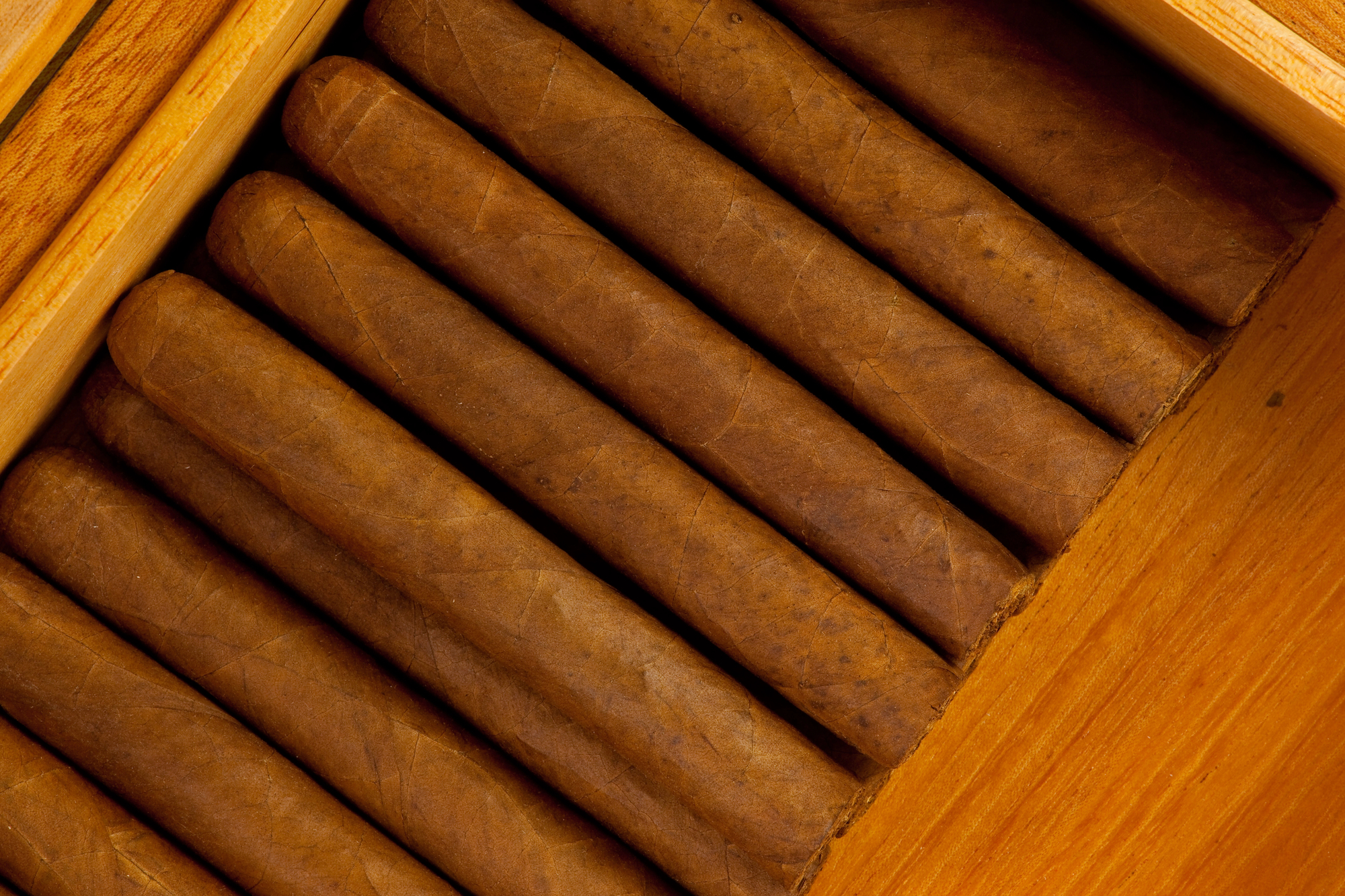 Old Virginia Tobacco Company in Woodbridge, image of tobacco cigars with different blends in one container.