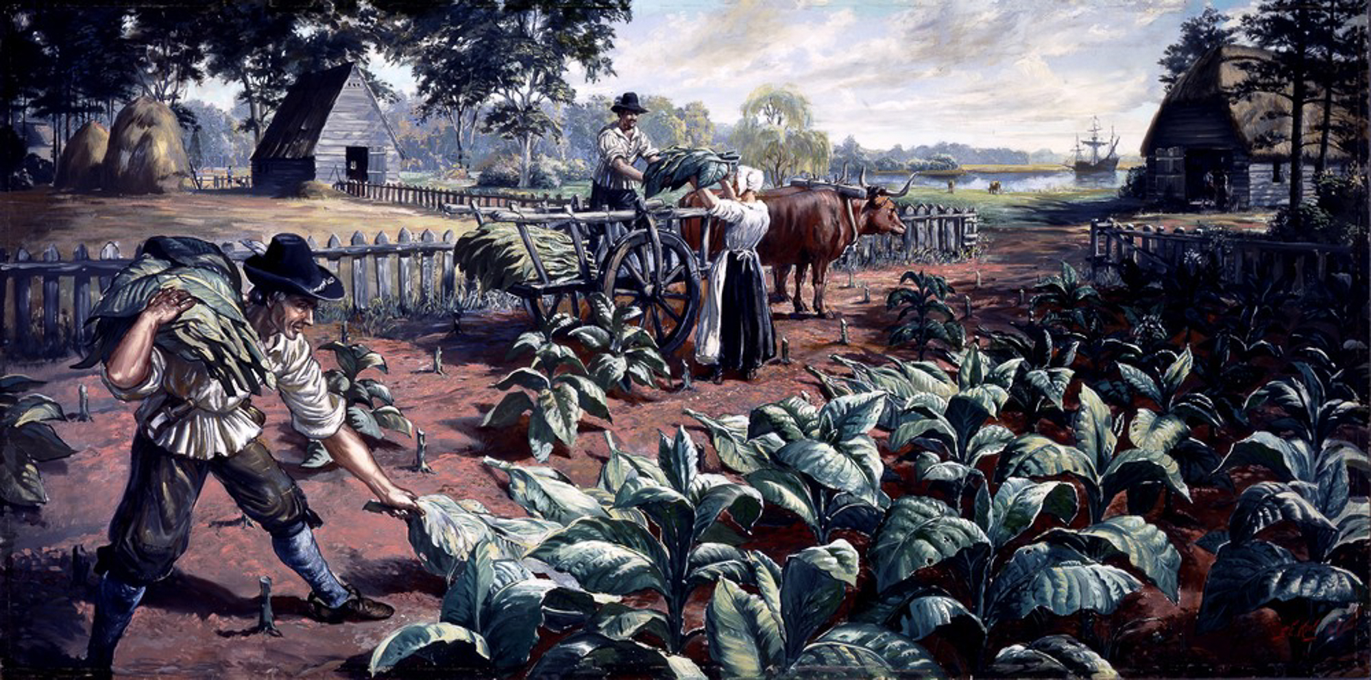 portrait of a man and a woman farming tobacco