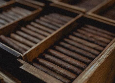 Close-up of cigars stored in a box, highlighting the cigar tips and their arrangement.